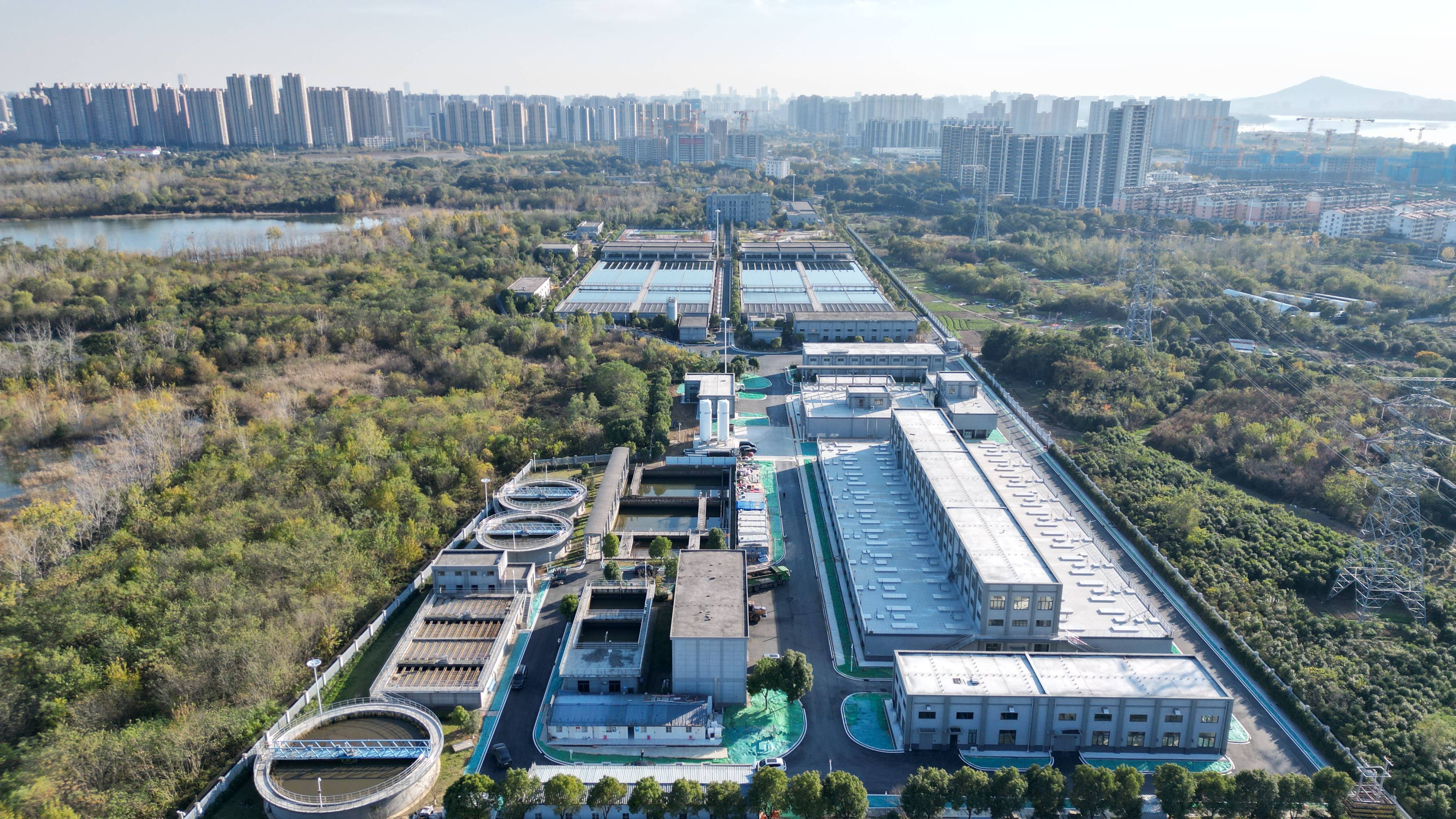 通化市合肥专业企业价值增长(合肥市重点企业产业目录)