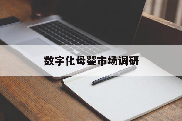 通化市数字化母婴市场调研(数字化母婴市场调研报告)